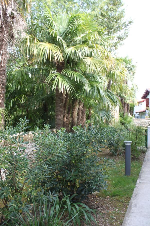 Chalet Ilona Cambo-les-Bains Luaran gambar